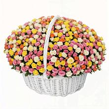 Премиум букет из: Розы в Орловке