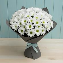 Букет цветов из:  Хризантемы #REPLACE_PRED# Орловке