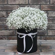 Цветочная композиция из Гипсофила в шляпной коробке в Орловке
